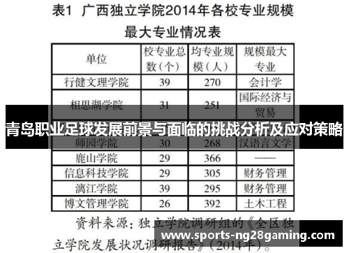 青岛职业足球发展前景与面临的挑战分析及应对策略
