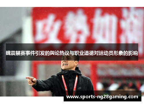 魏震禁赛事件引发的舆论热议与职业道德对运动员形象的影响