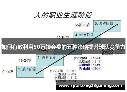 如何有效利用50万转会费的五种策略提升球队竞争力