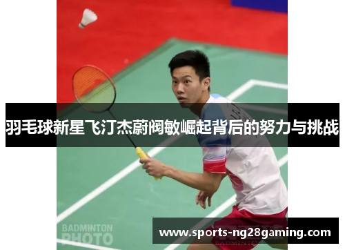 羽毛球新星飞汀杰蔚阀敏崛起背后的努力与挑战